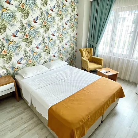 Hotel Santana